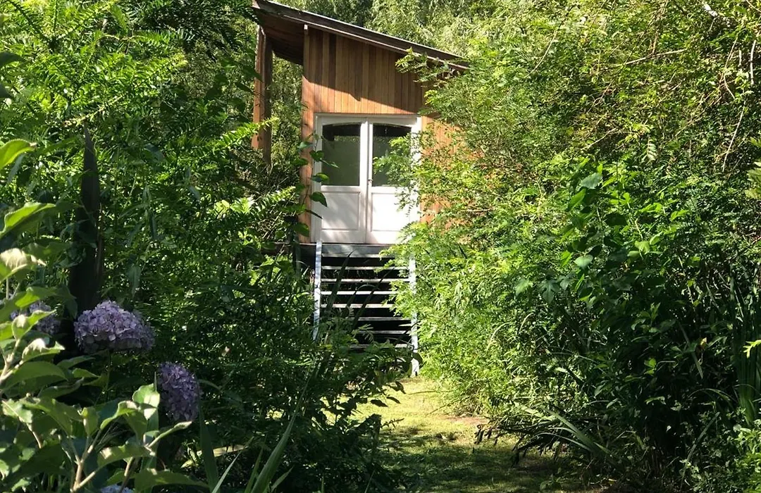 la casa en el rio II-1